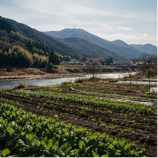 川沿いの畑の写真イメージ